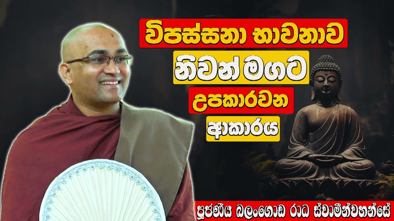 විපස්සනා භාවනාව නිවන් මාර්ගයට උපකාර වන ආකාරය | Ven Balngoda Radha Thero | Daham Potha