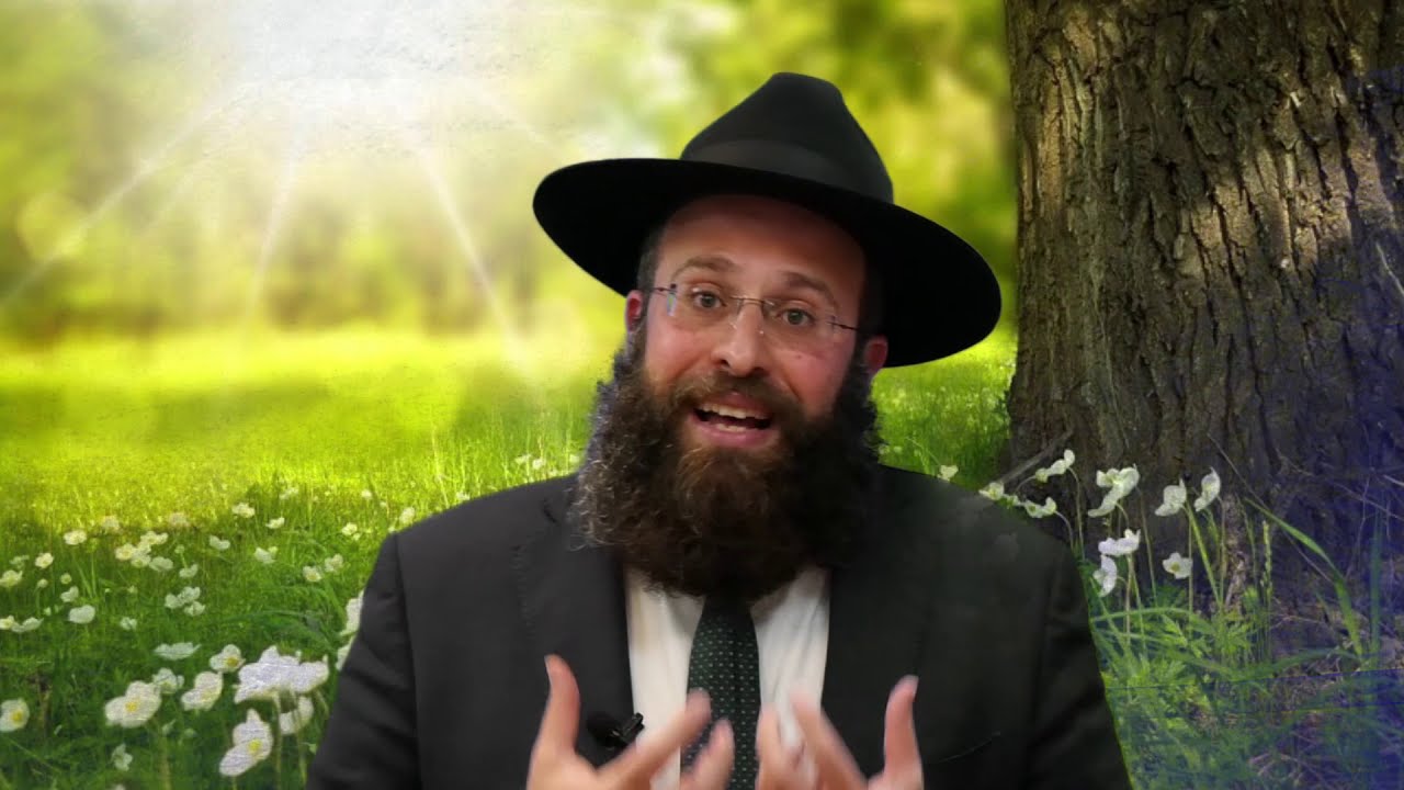 תזריע מצורע • מהו תפקידו המיוחד של הדיבור בחיינו?