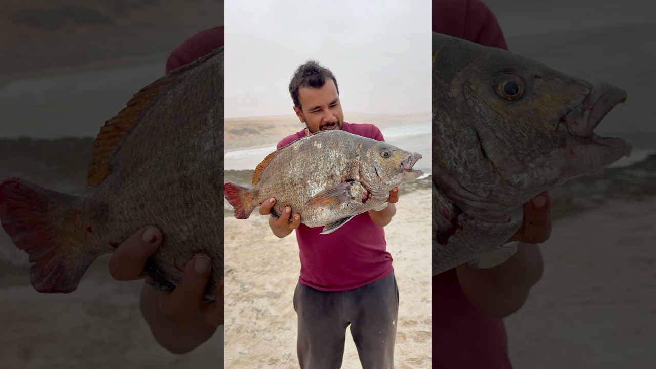 شرغو عاقل على جد النمل اللهم بارك🐟🎣🎣