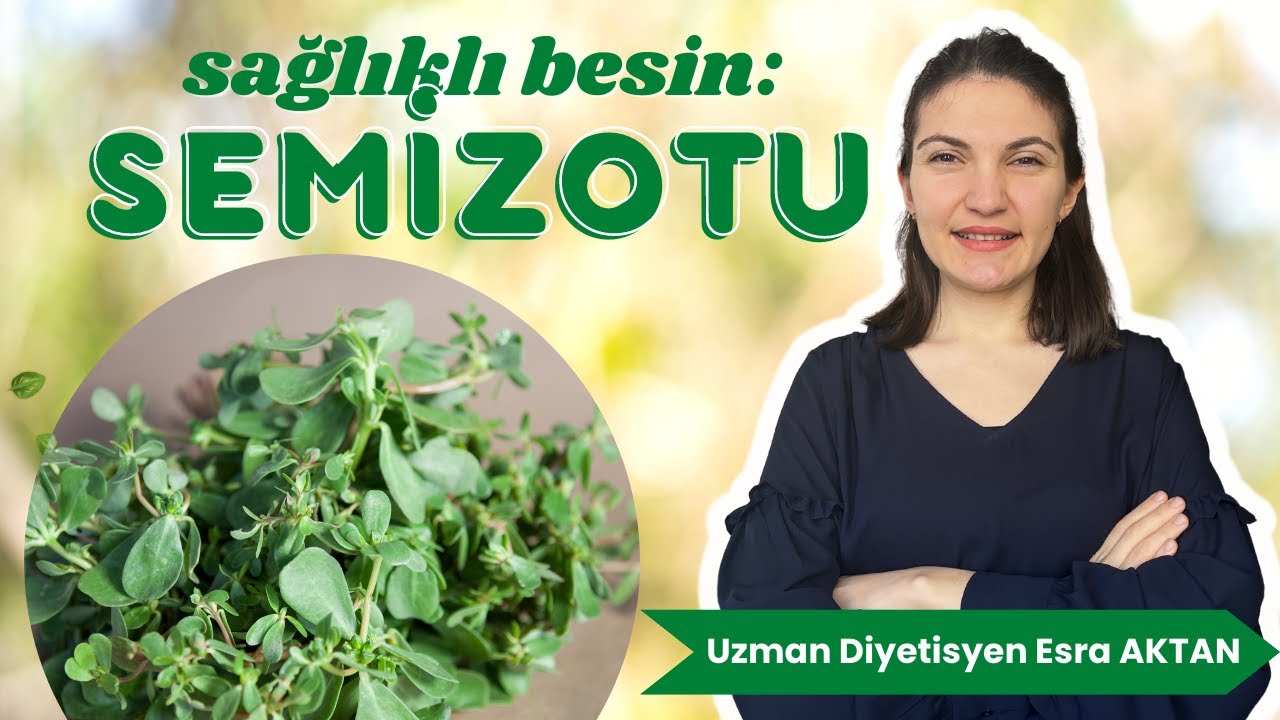 Sağlıklı Besin: Semizotu - Semizotu Faydaları - Uzman Diyetisyen Esra Aktan