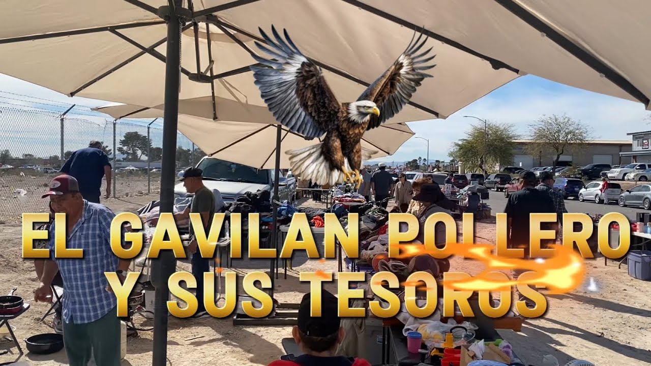 El Gavilán Pollero y Sus Tesoros 💰 | La Mario y La Carey Flea Market en Las Vegas