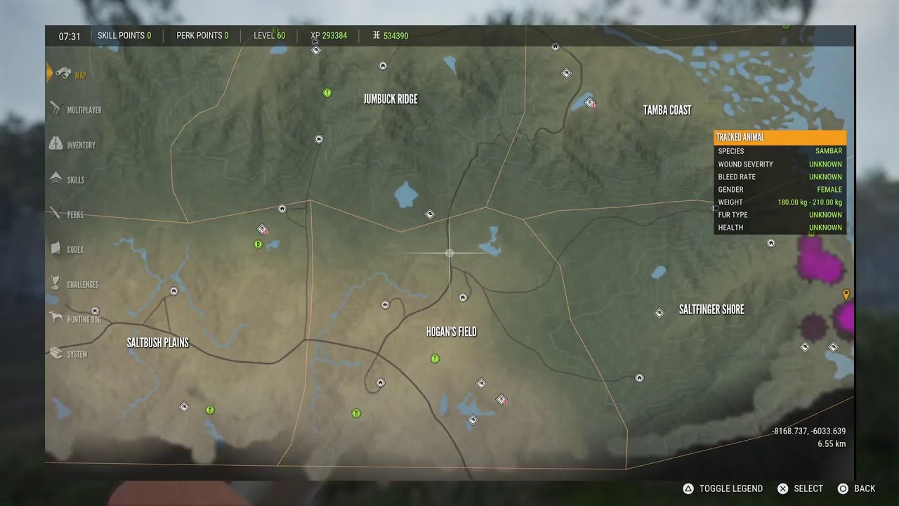 Thehunter: Call of the Wild livestream