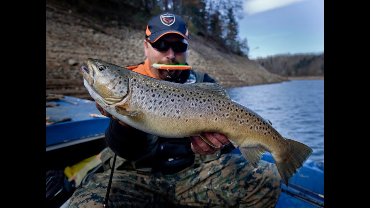 58 cm Brown trout caught on 16 cm Deviator Jerkbait