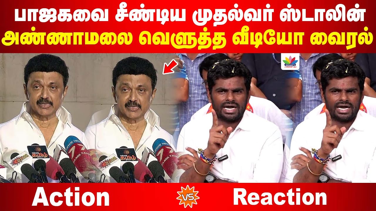 பாஜகவை சீண்டிய முதல்வர் ஸ்டாலின் | அண்ணாமலை வெளுத்த வீடியோ வைரல் | Annamalai VS MK Stalin