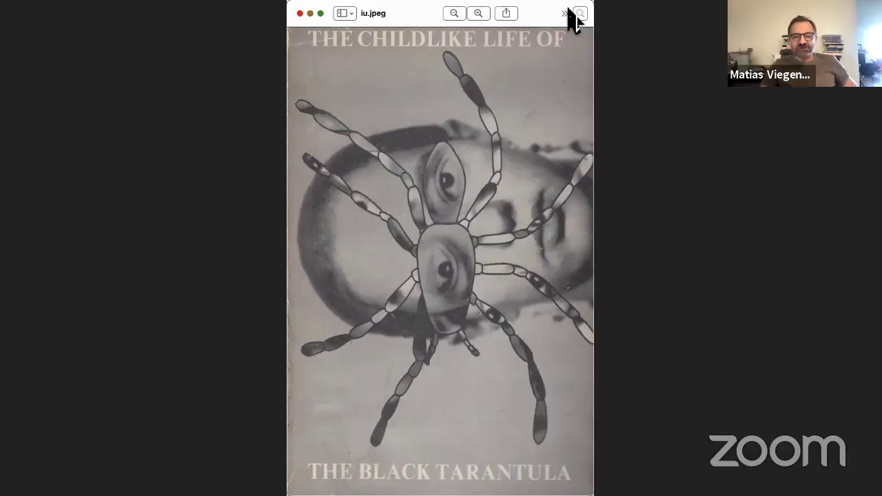 McKenzie Wark: Philosophy for Spiders: On Kathy Acker