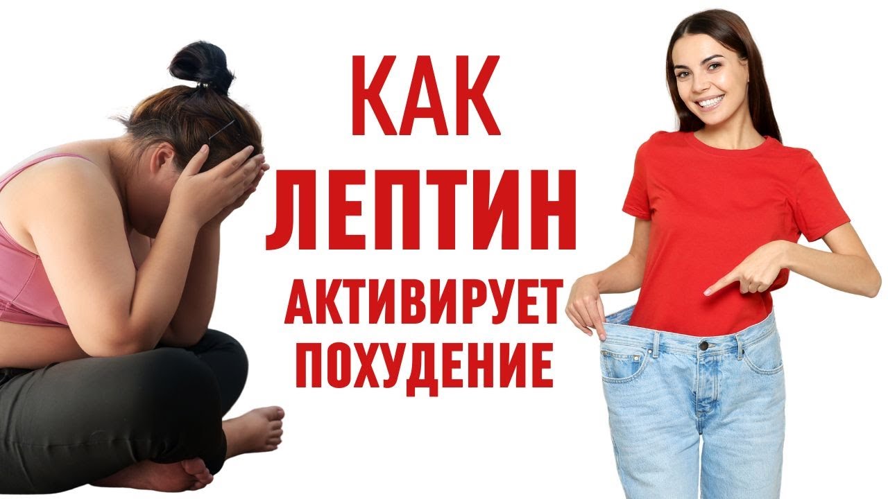 Лептин &ndash; гормон худобы и как его активировать