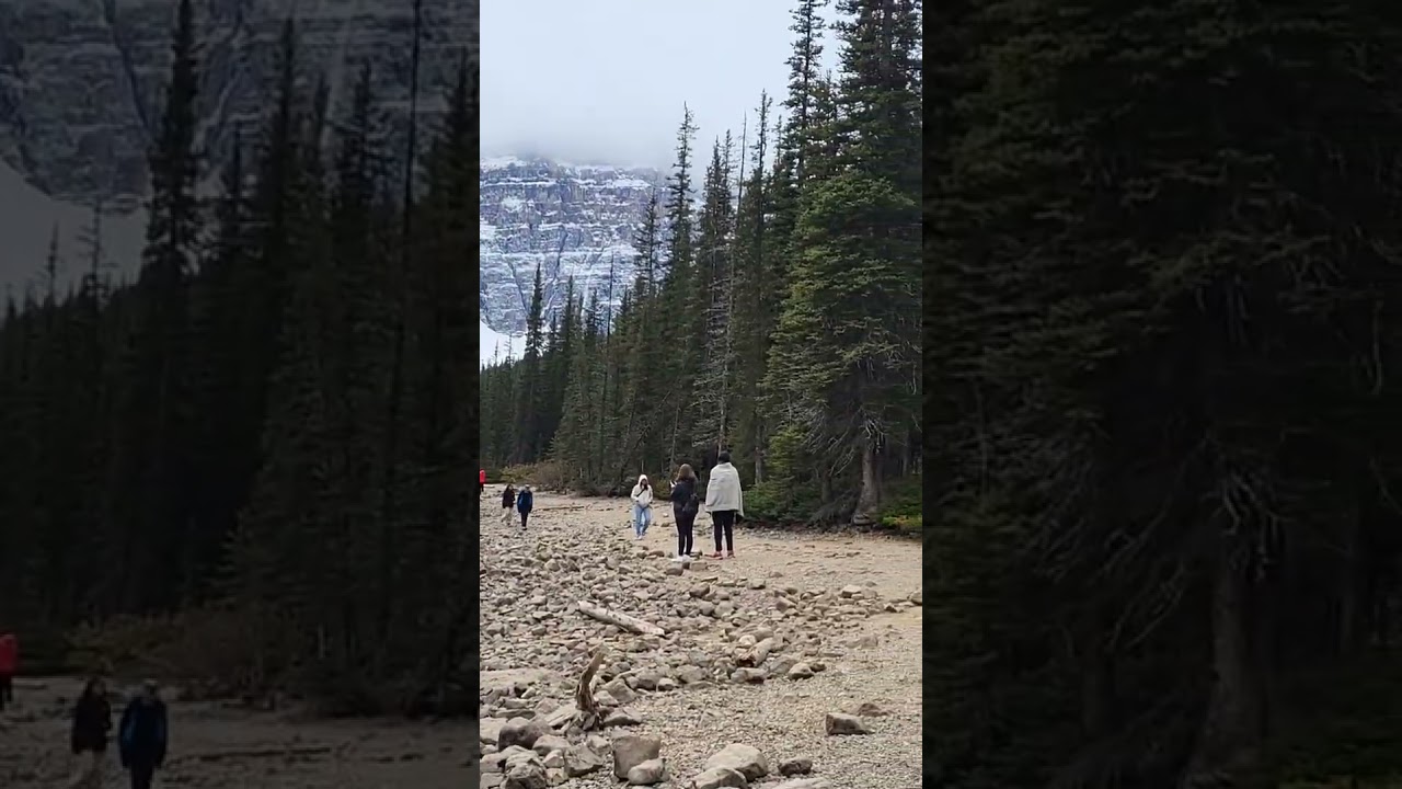 #bollywood #love #hindisong #alberta #travel #canadiancity #calgary #mountains #song #viral