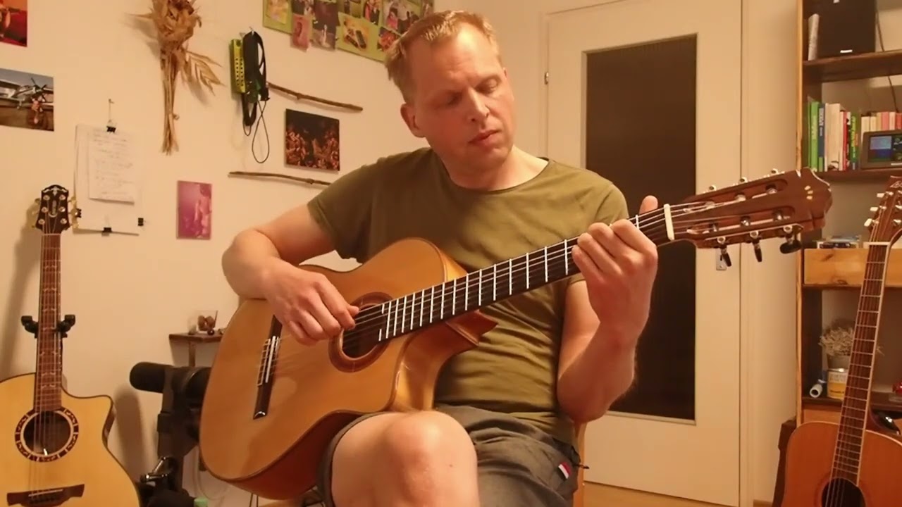 Spanish Guitar Probe 2