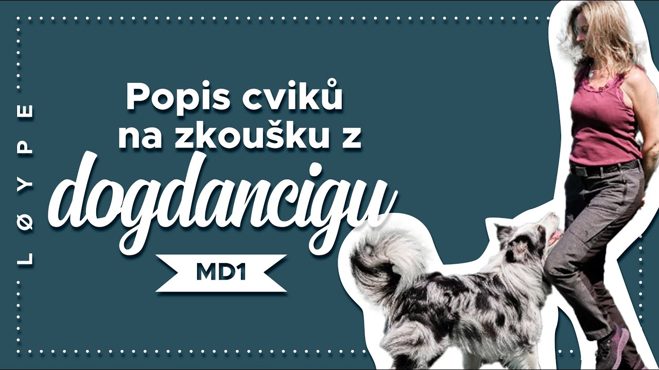 Popis cviků na zkoušku z dogdancingu |  musical dressage 1