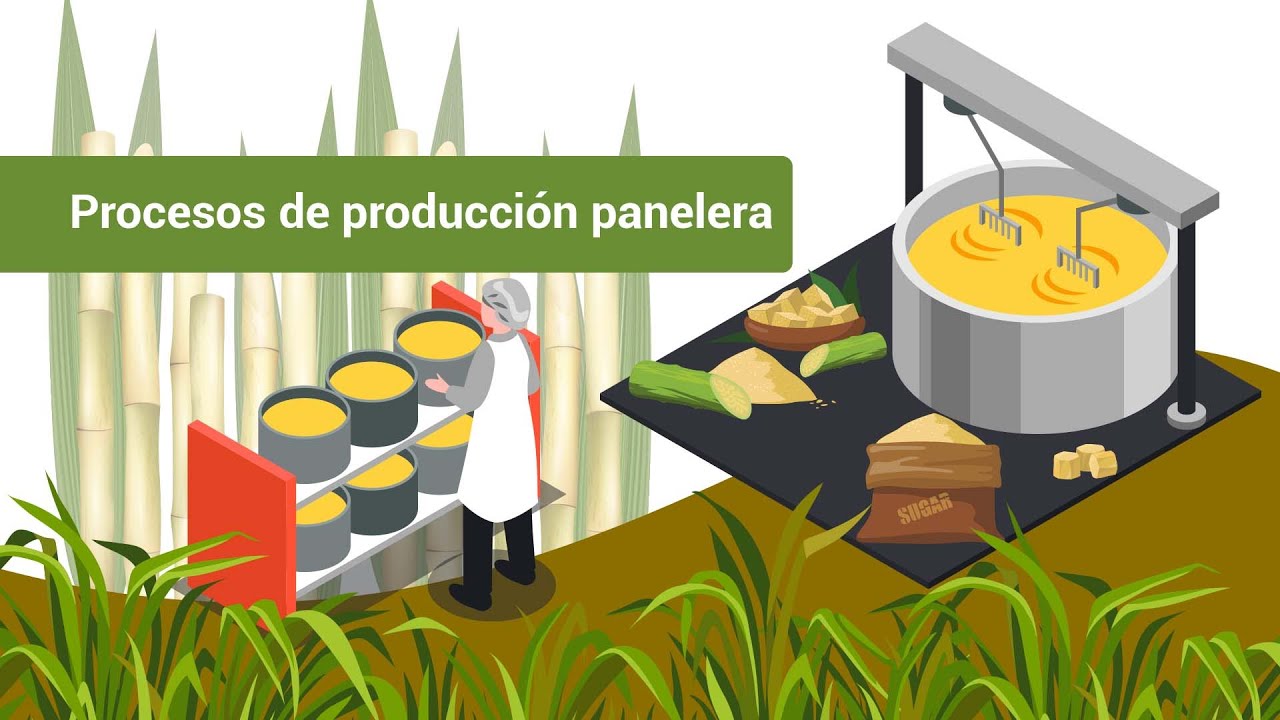 Procesos de producción panelera