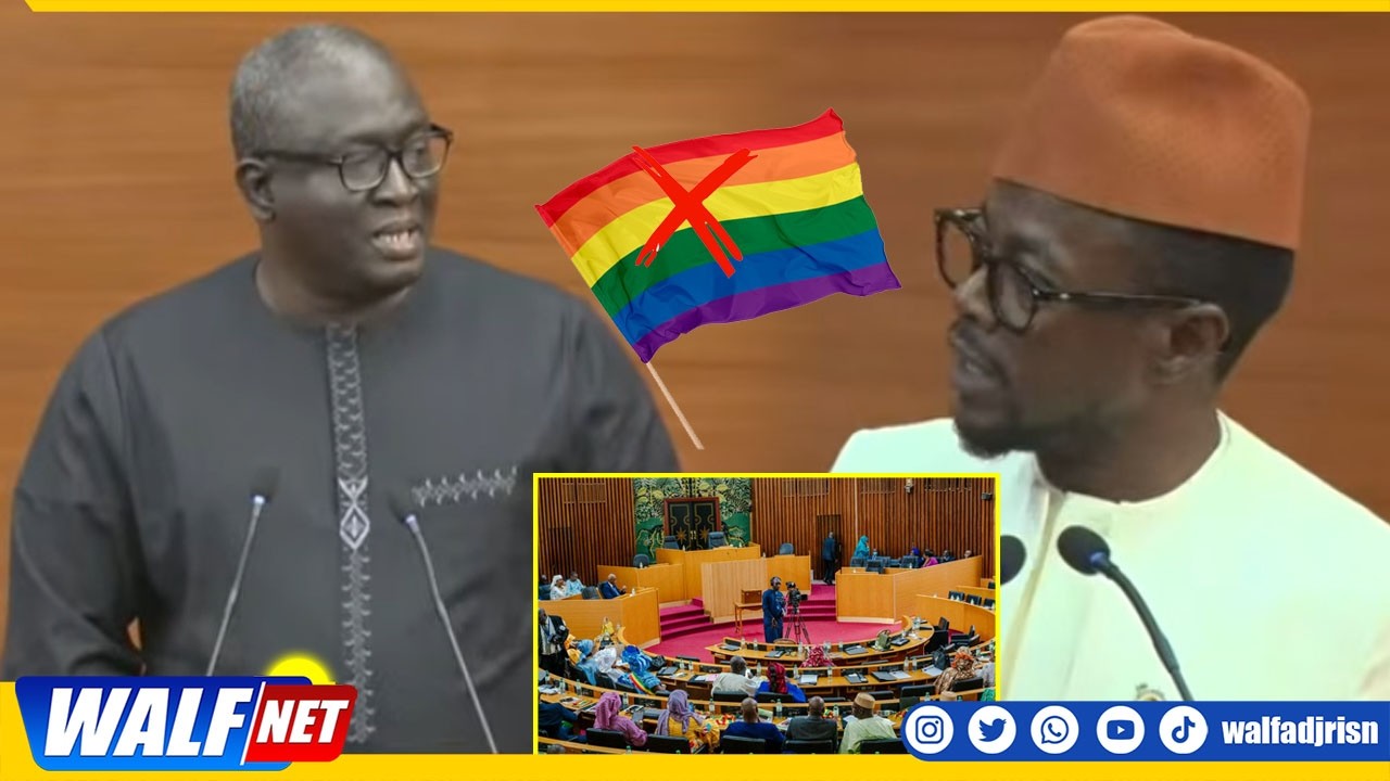 Criminalisation de l'homosexualité : Ayip Daffé répond Abdou Mbow