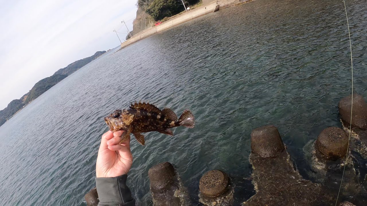 星賀漁港に行ってみた　穴釣り　アラカブ釣り