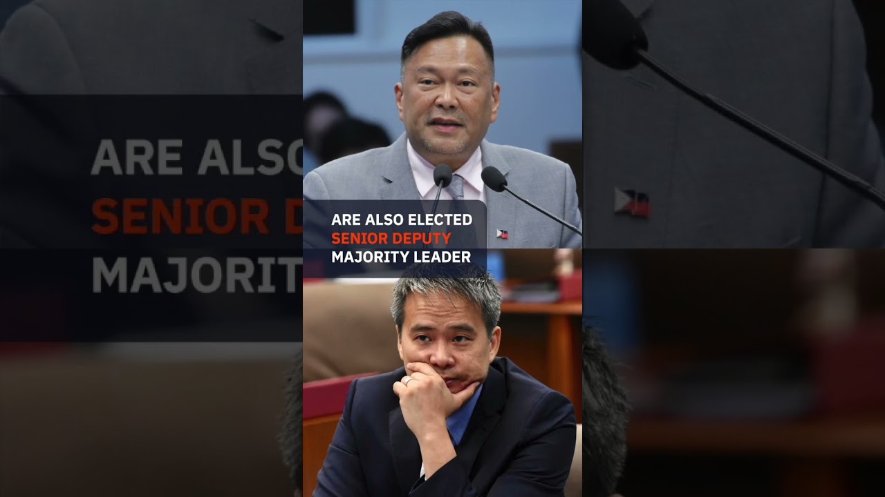 Win Gatchalian is elected Senate president