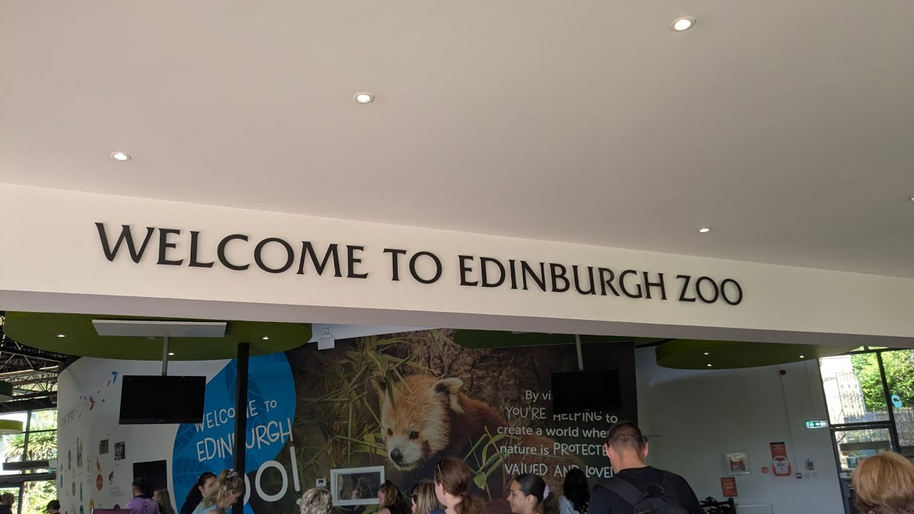 Enjoying animal company at Edinburgh Zoo
