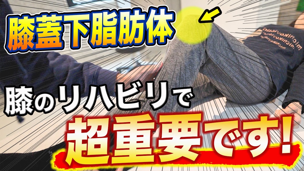 膝蓋下脂肪帯を知るだけで、膝の痛みリハビリで結果が出せる！