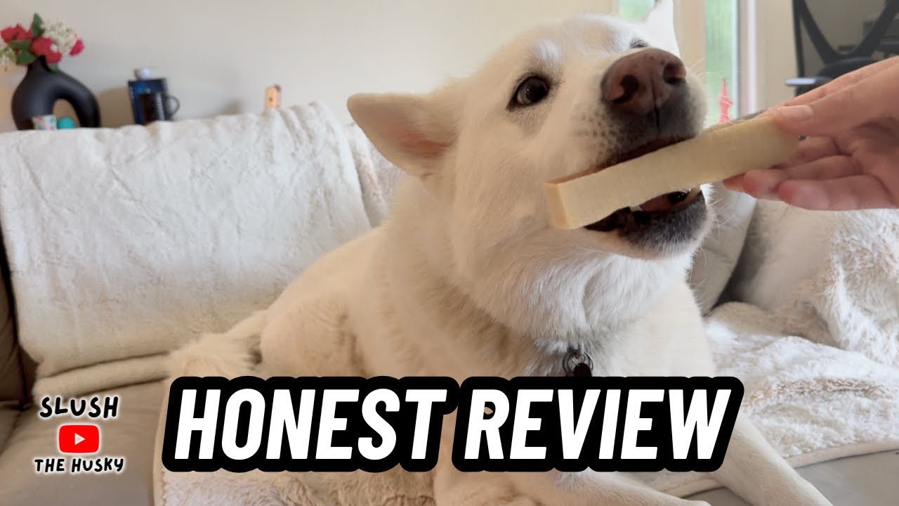 An Honest Cheese Bone Review for Dogs