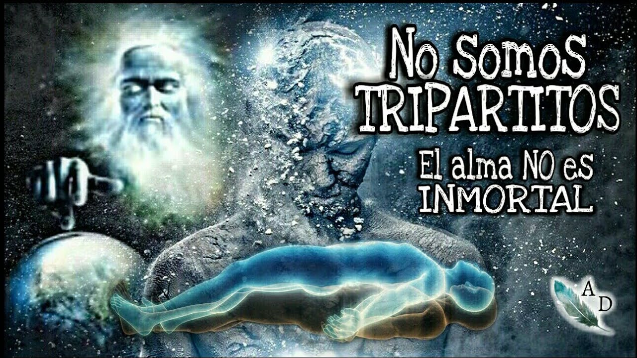 NO SOMOS TRIPARTITOS y EL ALMA NO ES INMORTAL - La Dicotom&iacute;a del Ser Vivo | Apolog&eacute;tica Doctrinal