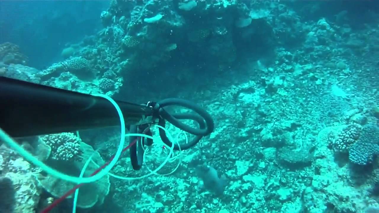 Chasse sous-marine Nouvelle Cal&eacute;donie - OUVEA DU 11 au 14/10