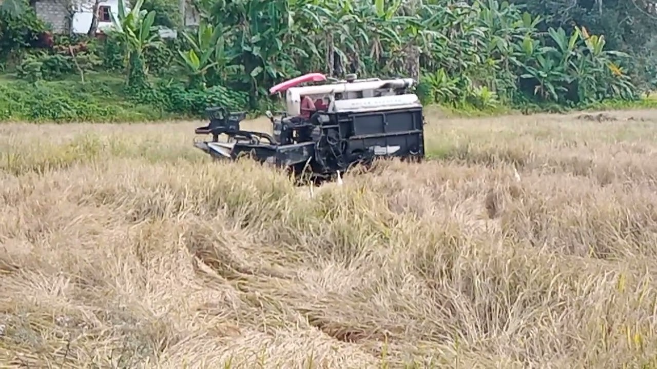 වීඩියෝ  අංක     2738   යන්ත්‍රය කුඹුරට යැවීම