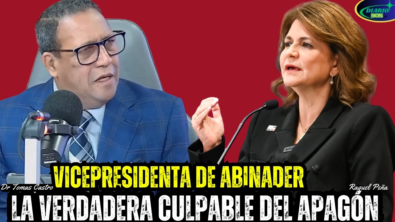 Tomas Castro Dice que Raquel Peña Destruye todo lo que Toca dentro del Gobierno de Luis Abinader.
