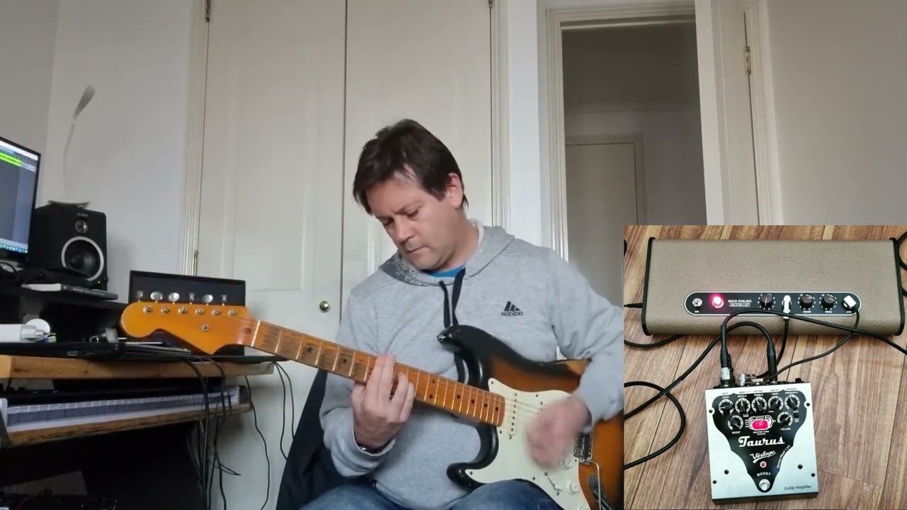 Taurus Stomp Head.1- VT (VIntage) + SurfyBear Classic