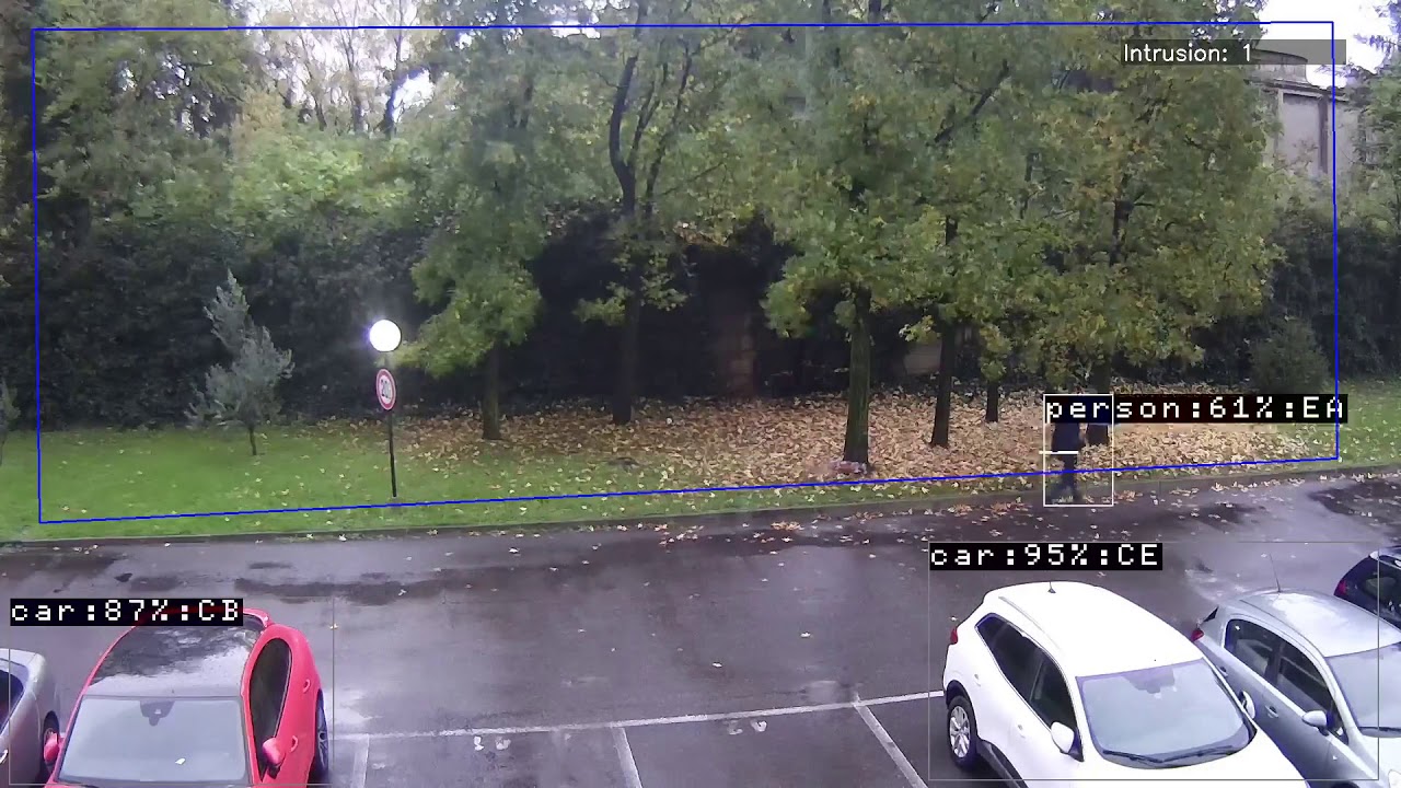 AI GANZ immune disturbi fogliame