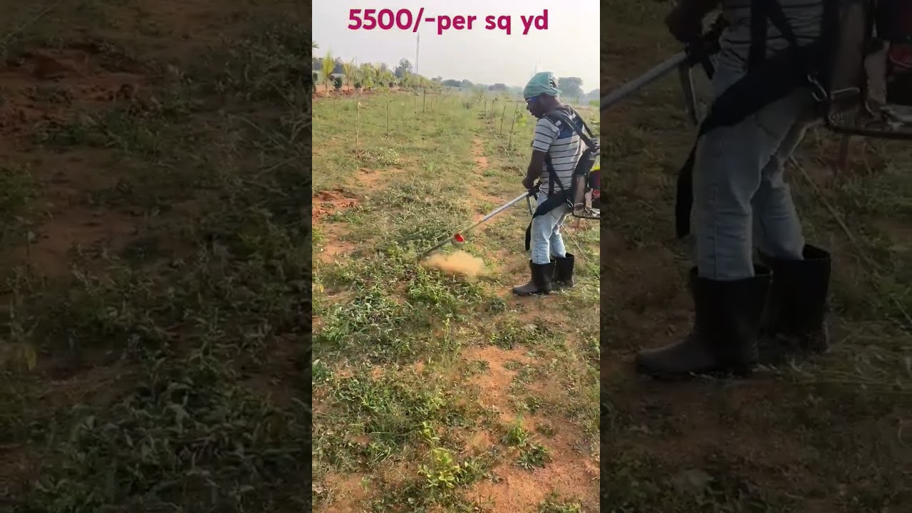 రెడ్ శాండిల్ ఫామ్ ల్యాండ్ ఫర్ సెల్..   More details contact on WhatsApp 9908323395 #redwoodfarmland