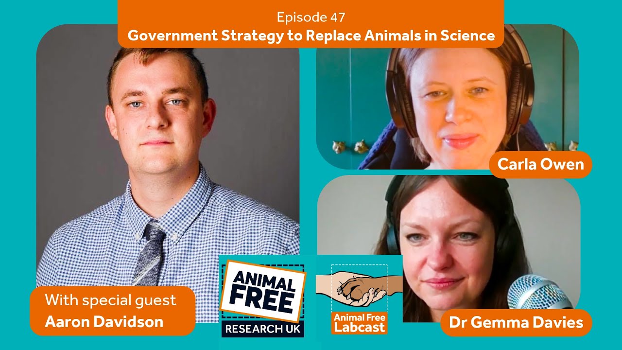Animal Free Labcast EP47 - Government Strategy to Replace Animals in Science