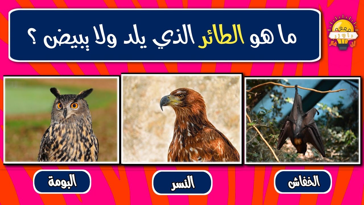 ما مدى معرفتك بالحيوانات 🦁 ؟ إليك 17 أسئلة ومعلومات عن الحيوانات وحاول أن تتجاوز جميع المراحل