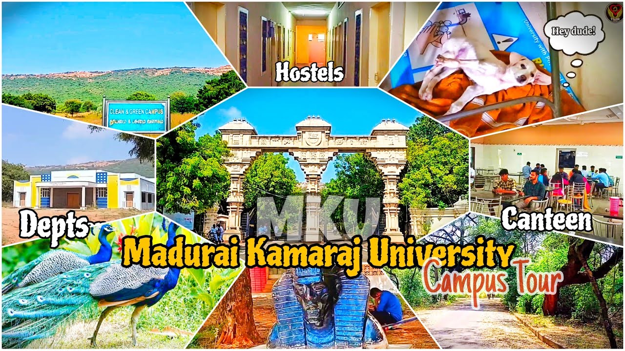 MKU Campus Tour | Madurai Kamaraj University | Depts | Hostels | Canteen | Students | ThiNK VISION