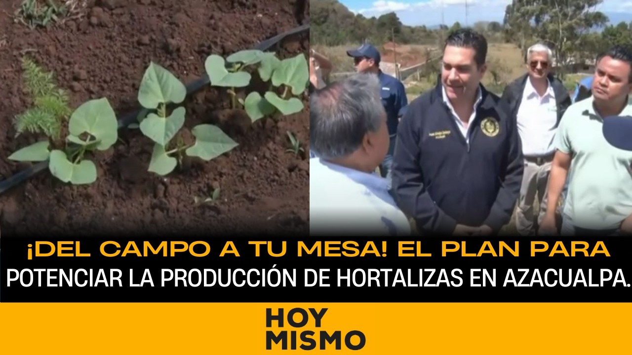 ¡Del campo a tu mesa! El plan para potenciar la producción de hortalizas en Azacualpa.