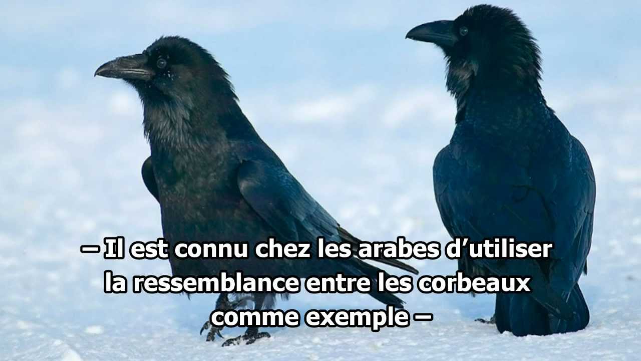 Si seulement ...   - Sheikh Salah Al Moghamssi