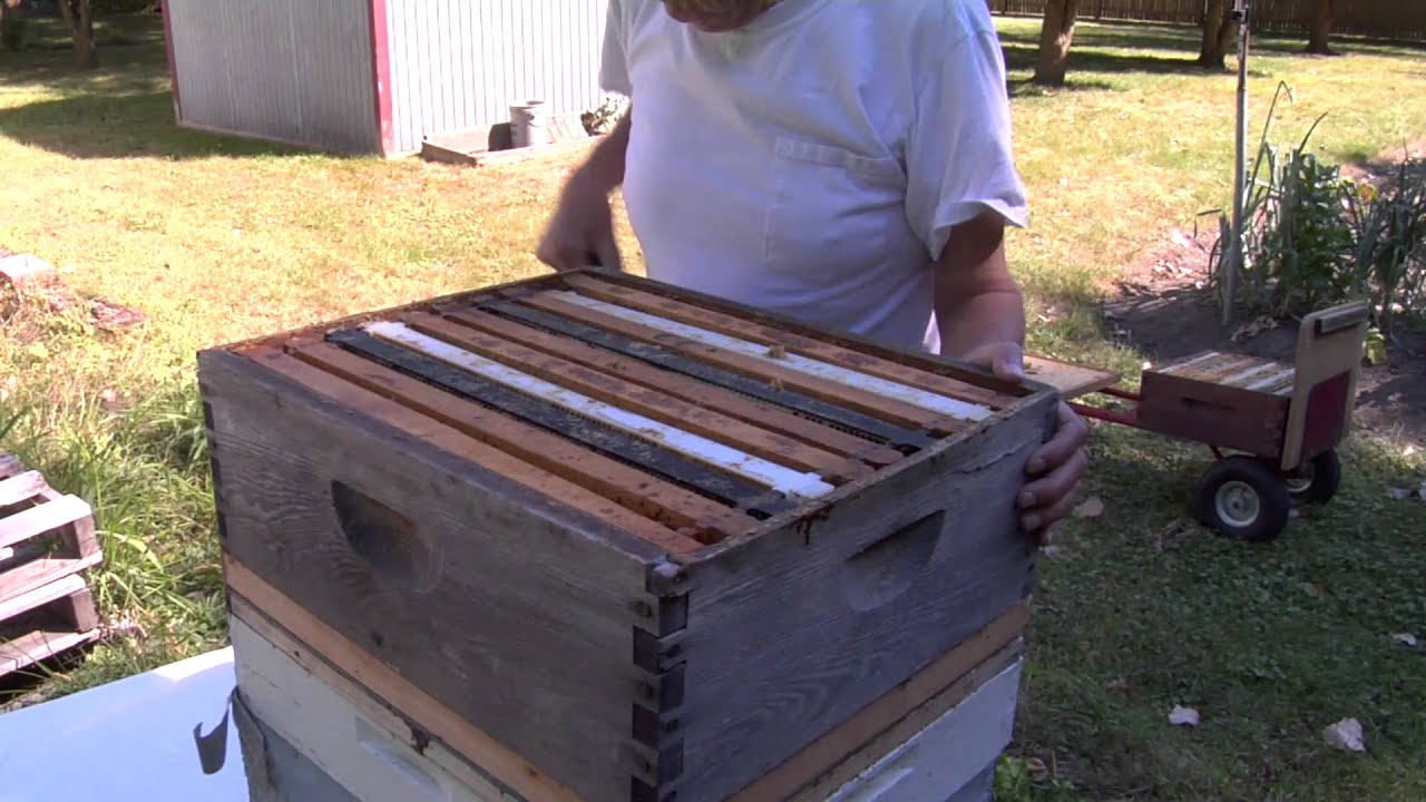 Triangular bee escape, harvesting supers