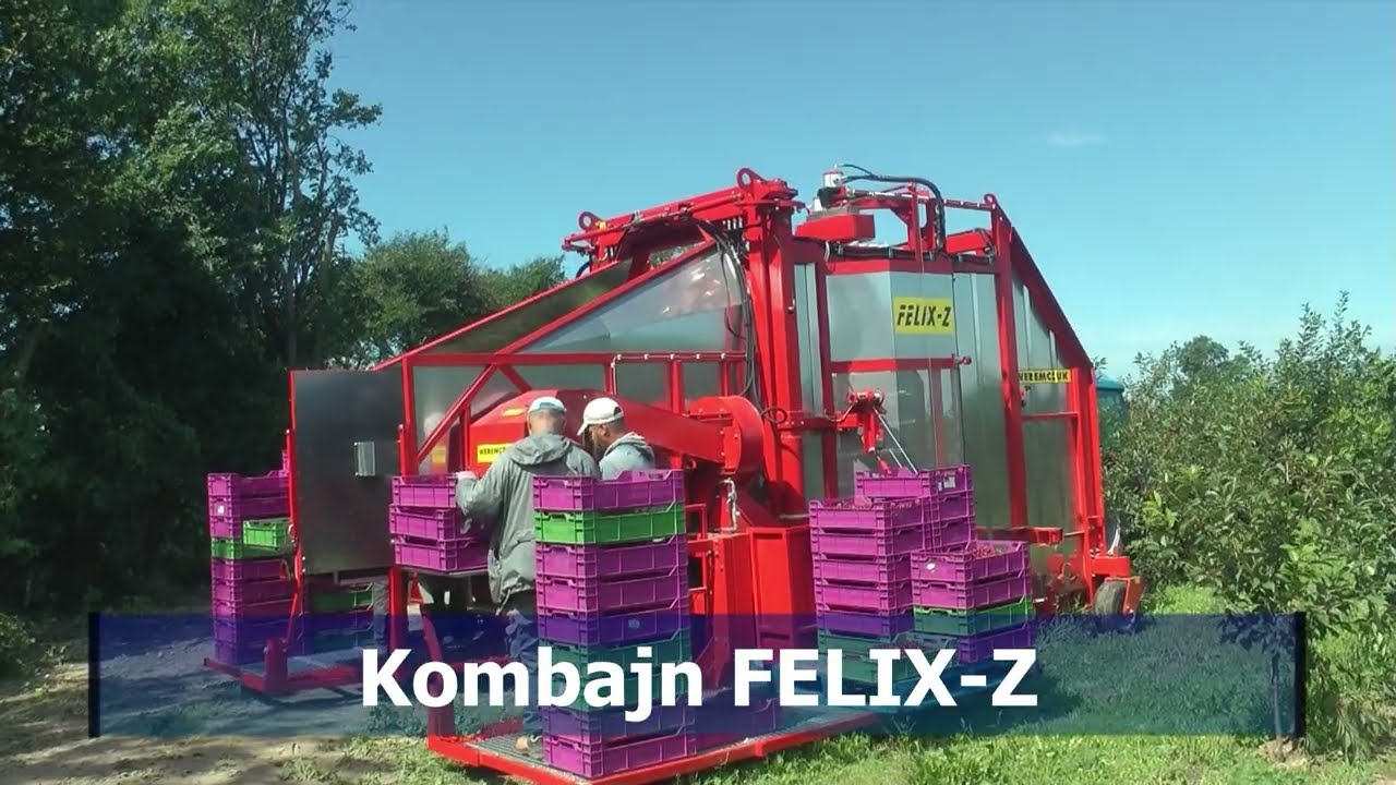 Zbiór wiśni kombajnem FELIX-Z