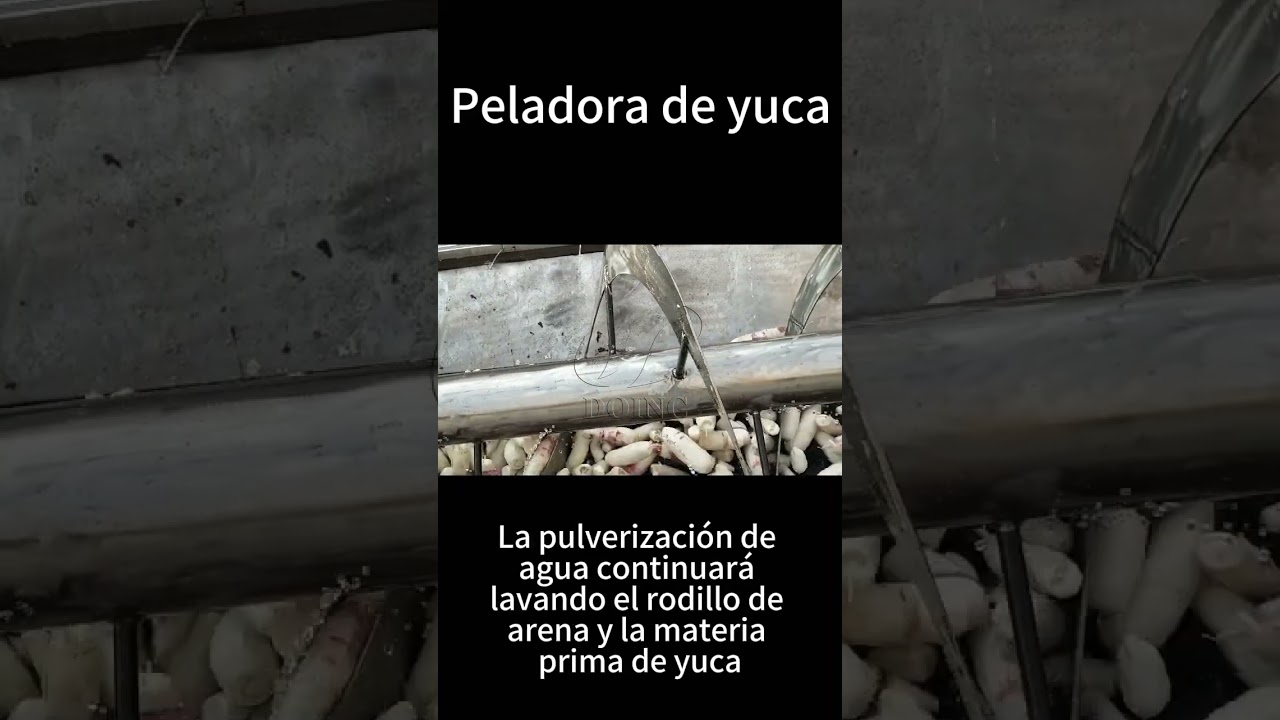 &iquest;C&oacute;mo pelar la yuca? Peladora de yuca M&aacute;quina procesadora de yuca fabricada en f&aacute;brica.