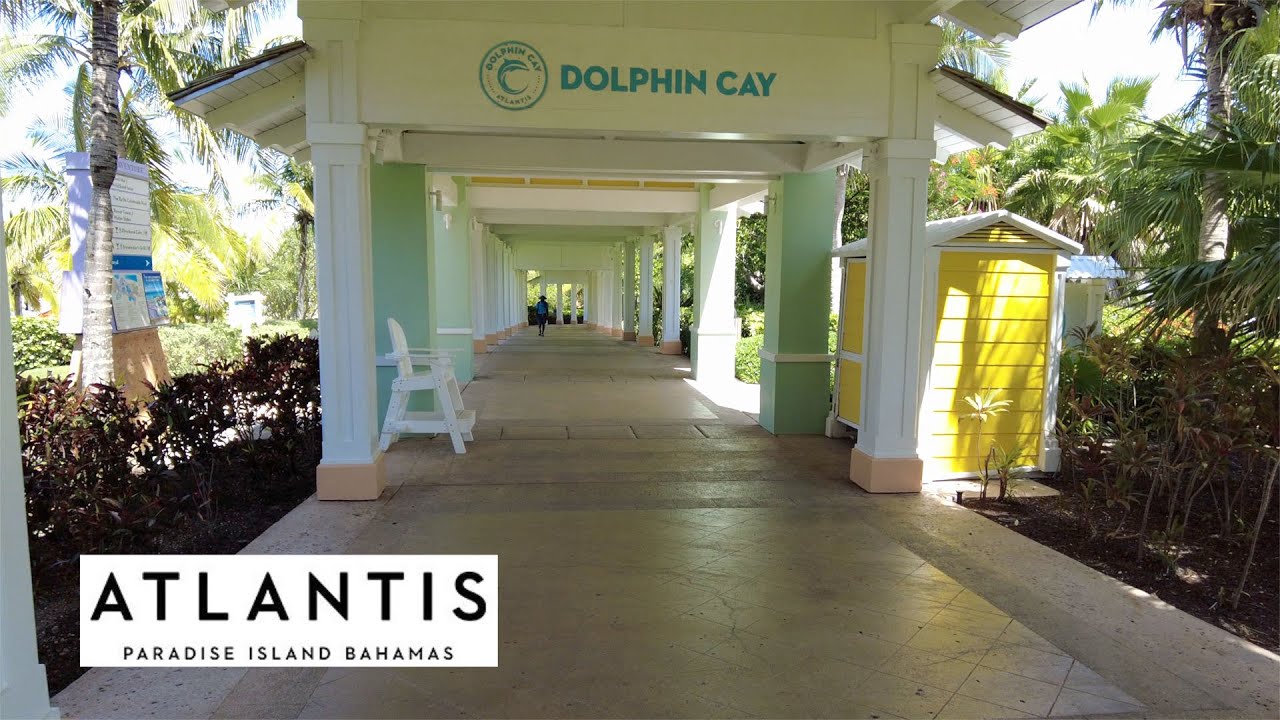 Atlantis Bahamas - Dolphin Cay | Oakland Travel