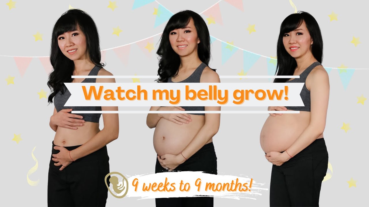 Weekly Pregnancy Transformation | Week by week baby bump!