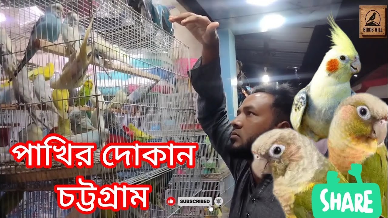 পাখির দোকান ষ্টেশন রোড চট্টগ্রাম। Birds Hill