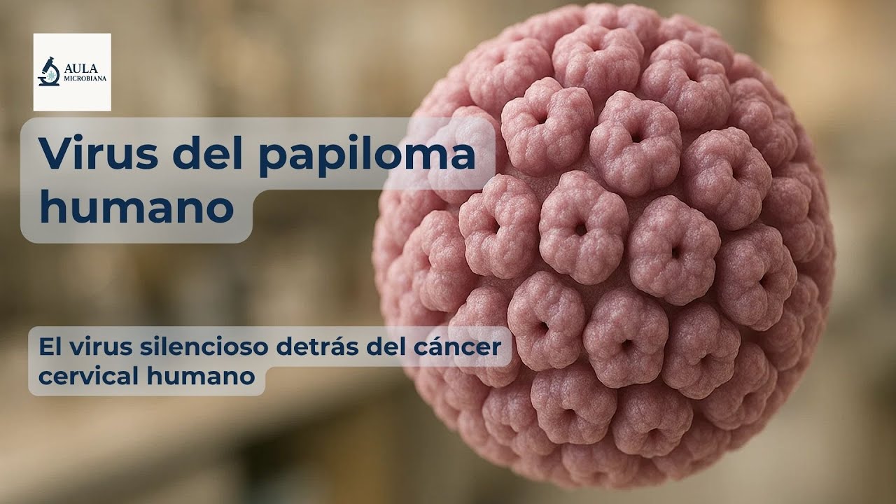 Virus del Papiloma Humano (VPH)