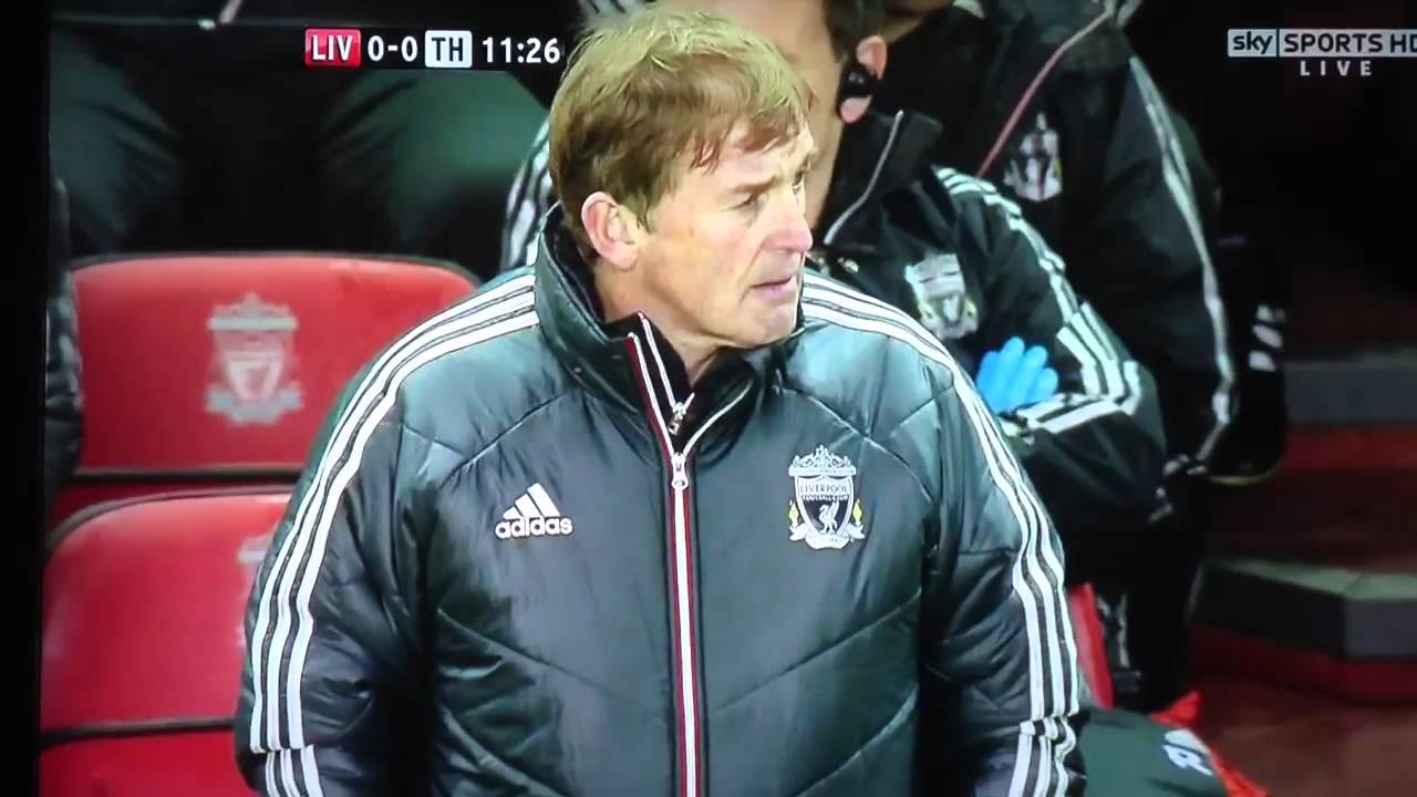 Cat on the pitch at Anfield