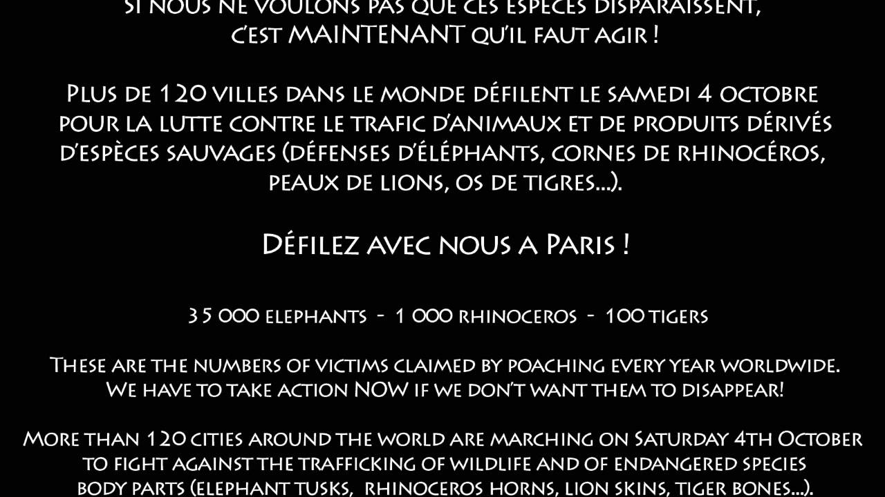 Hymne Elephants GMFERT Paris