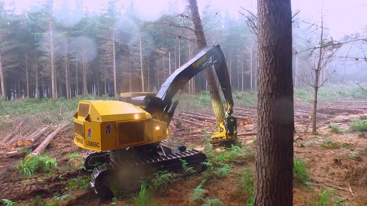 Tigercat LS855C Shovel Logger with 5195 in Tasmania