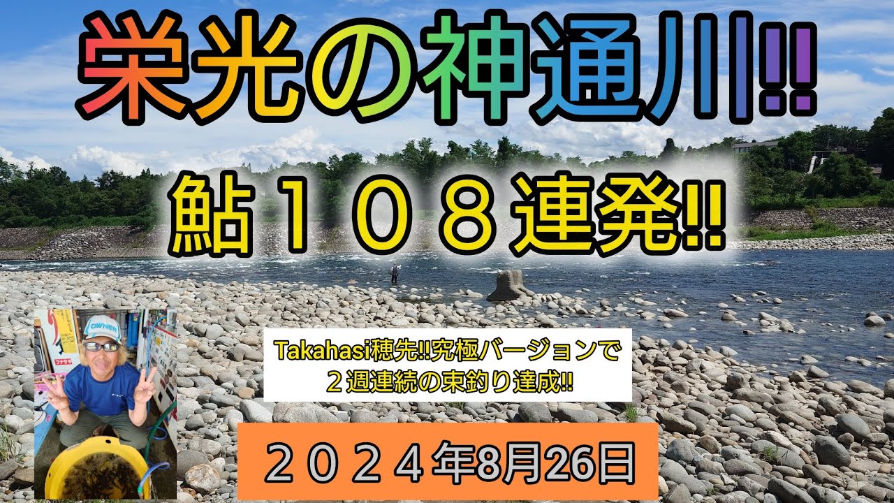 栄光の神通川‼️鮎108連発‼️Takahashi穂先究極バージョンで２週連続の束釣り達成‼️２０２４年8月26日