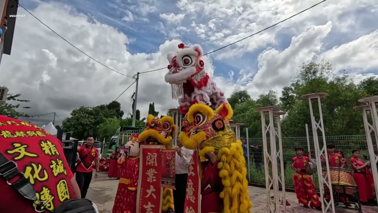 Red lion dance high pole performance