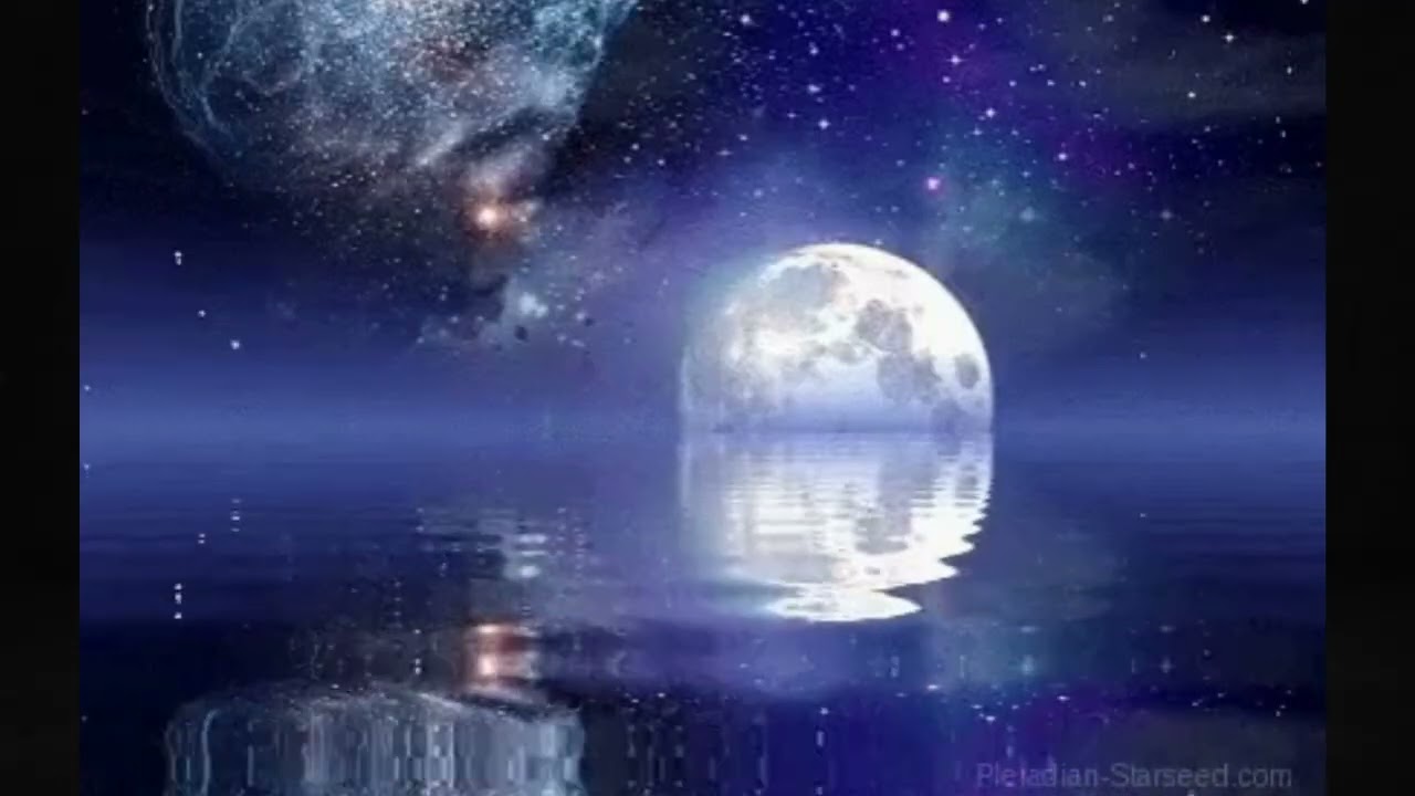 🌙✨ Bajo La Misma Luna En Miami (Bachata)