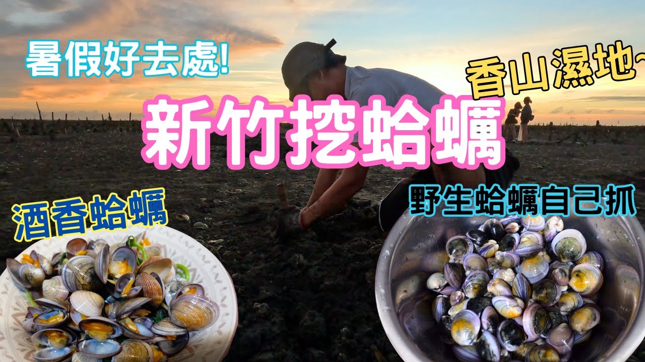 【新竹】蛤蜊怎樣煮才能飽滿又多汁｜原來台灣也可以挖到野生蛤蜊｜新竹香山濕地