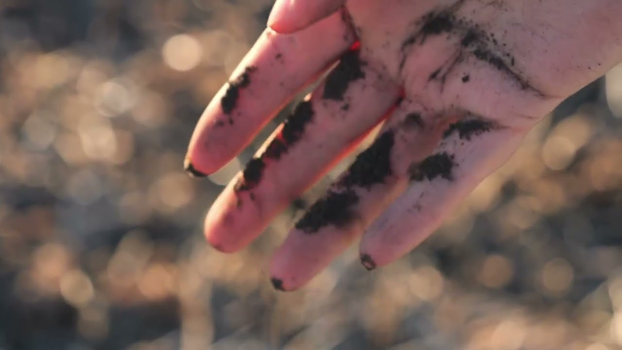 Farming Forward: Protecting fertilizer from loss through banding depth