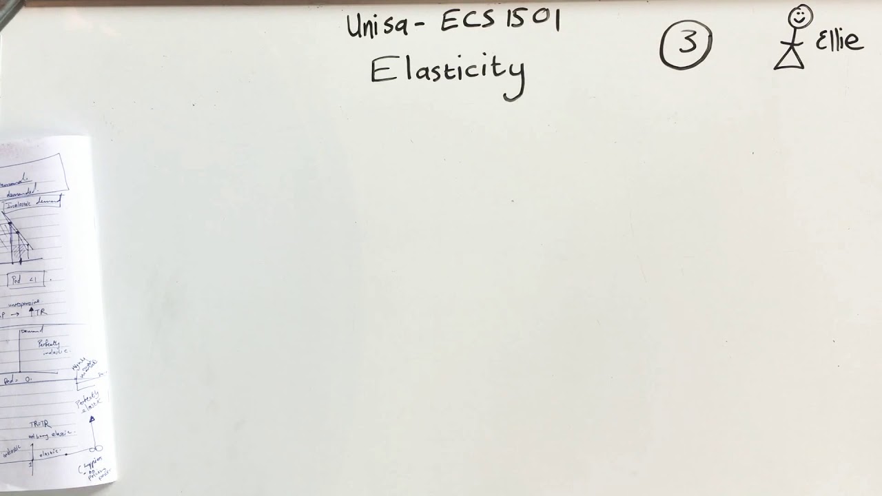 ECS1501 Elasticity of demand