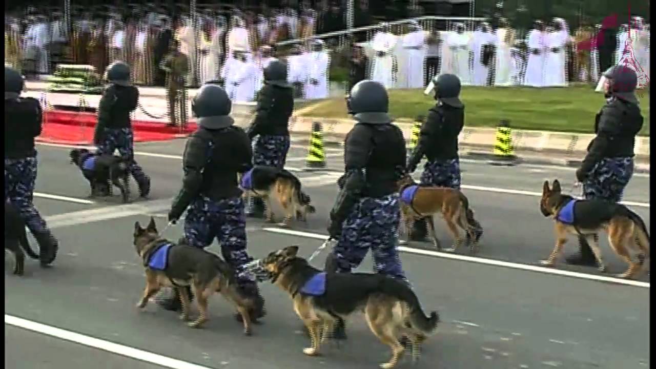 استعراض عسكري عام في اليوم الوطني