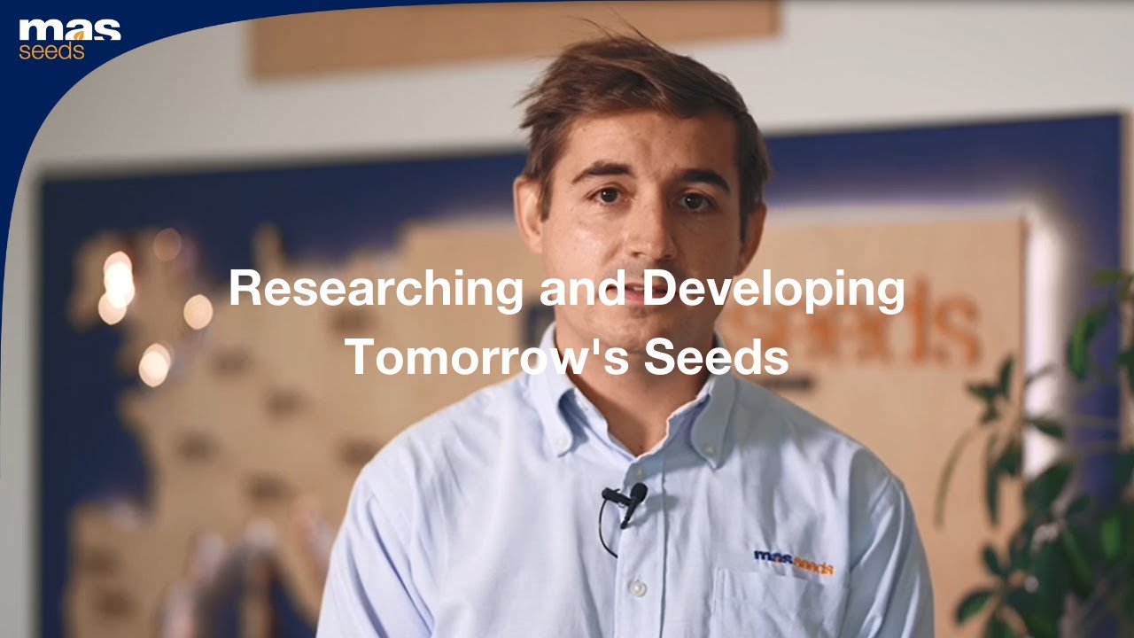 Researching and Developing Tomorrow's Seeds | MAS Seeds